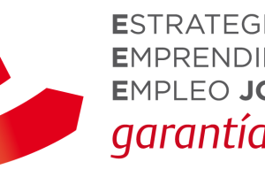Empleo joven con la Garantía Juvenil