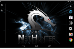 ¿Qué es un nethunter?